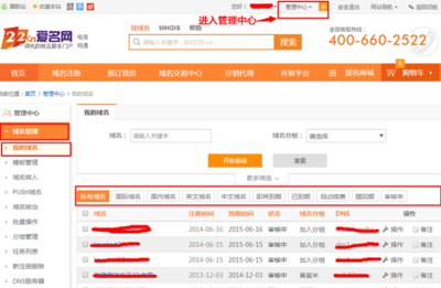 域名注册信息查询 爱名网22.CN的领先服务解析